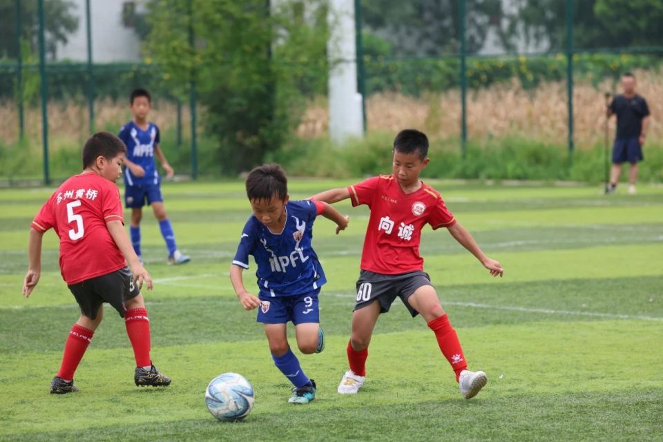 UB, 珂缔缘杯 UB, 珂缔缘杯